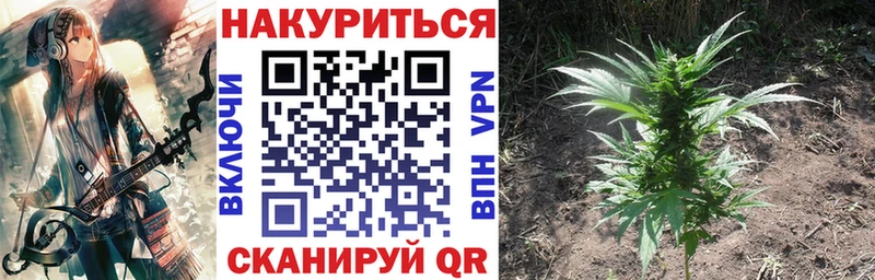Где купить Нариманов Псилоцибиновые грибы МЕФ Alpha PVP ГАШ КОКАИН Бошки Шишки