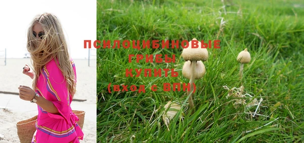 не бодяженный Весьегонск